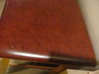 Large Padded Bench/Table