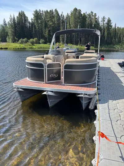 2014 Manitou oasis 22 foot pontoon boat with 150 horse power Evinrude comes with barbeque fishfinder...