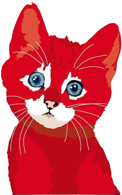 ❤️❤️ ALY KITTY IN THE CITY CAT HOME SYLE BOARDING!!! ❤️❤️❤️, View more
