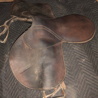 Pegase Flat / exercise saddle 