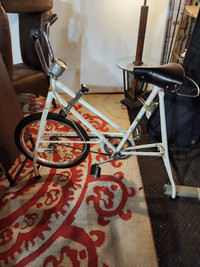 Vintage Super cycle Exercise bike adjustable tension speedo