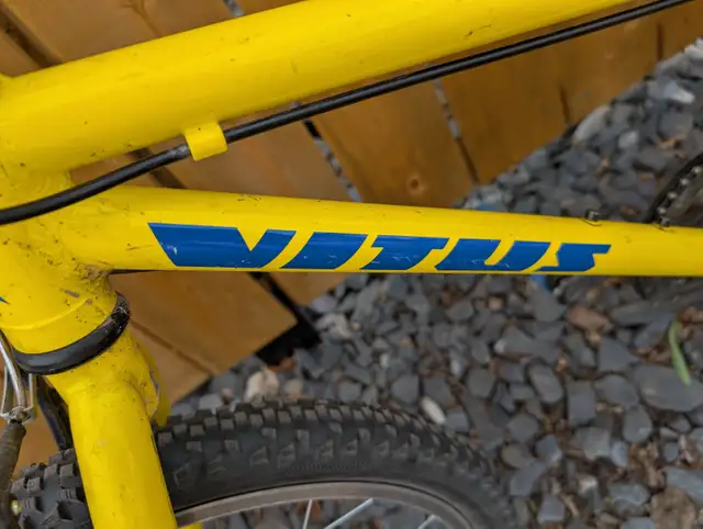 Vitus 20 Youth Bike with Two Extra Tires, 7 Speeds in Kids in Edmonton - Image 3