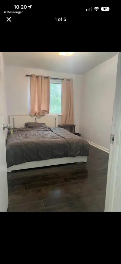 Bright Furnished Room for Rent in North York – TTC at Your Door! Bright Furnished Room for Rent – No...