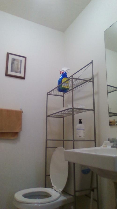 Available August 1, large room with half bath $900 a month and smaller room $600 with walk in closet...