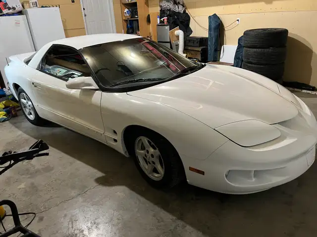 beautiful 98 firebird576046251315056646