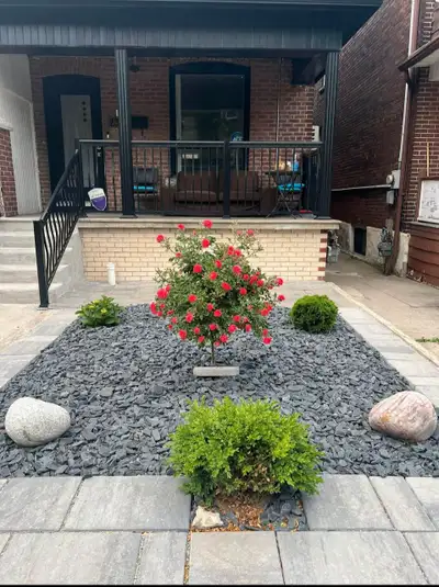 Room Available September 1st