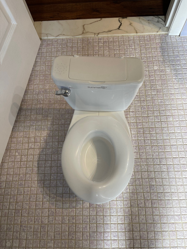 Toddlers flushable toilet  in Strollers, Carriers & Car Seats in Windsor Region