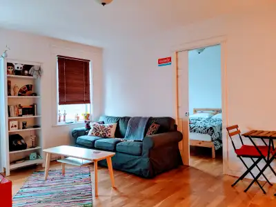 Bright, Spacious 1-Bedroom Plateau Rental / Move-in Aug 2025