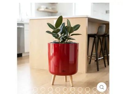 Modena Self-Watering Planter with Stand, View more