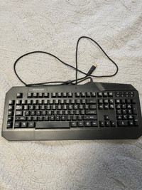 Blackweb Keyboard