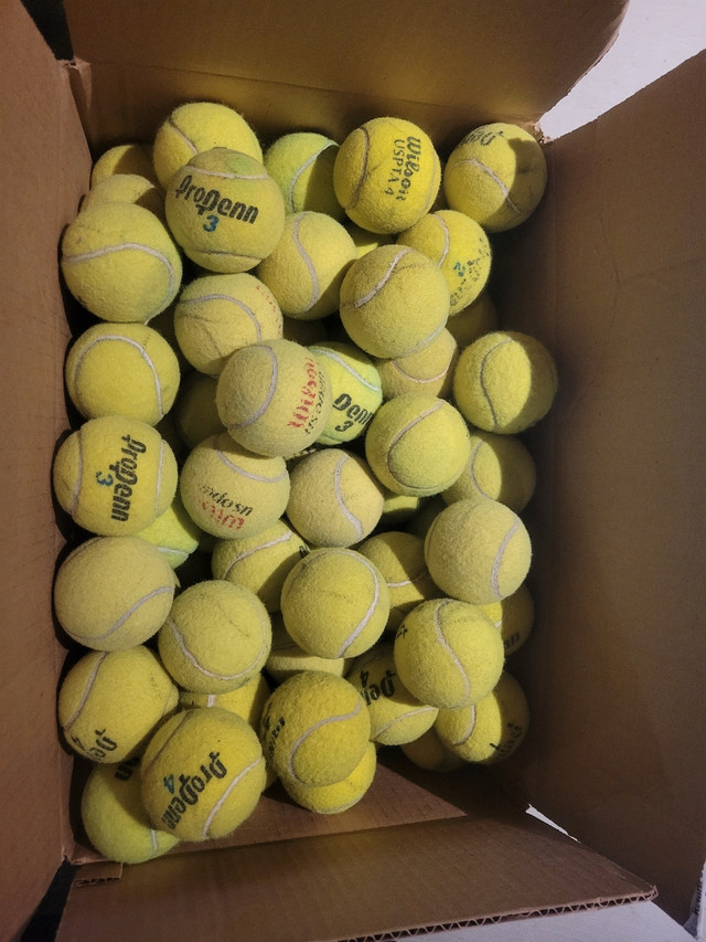Used tennis balls Tennis & Racquet Mississauga / Peel Region Kijiji