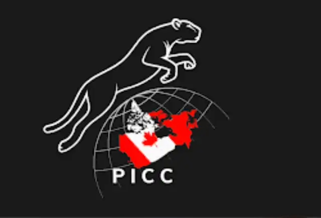 RCIC Immigration | Citizenship $500-Study $900, Spousal $140063581890073217120