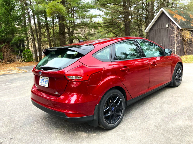 Ford Focus 2016 - Excellent condition in Cars & Trucks in Muskoka - Image 2