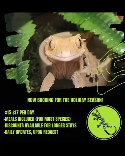 Small Animal Boarding, View more