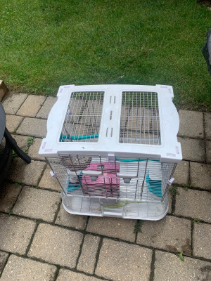 Canary Cage | Adopt Birds in Toronto (GTA) | Kijiji Classifieds