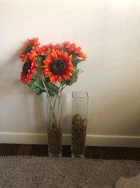 Glass Vases (20 inch tall)