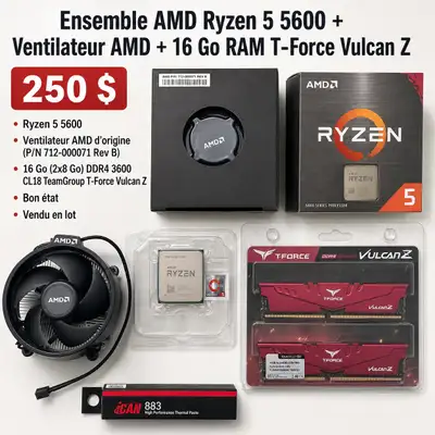 Kit AMD Ryzen 5 5600 + Ventilateur AMD + 16 Go RAM T-Force V, View more