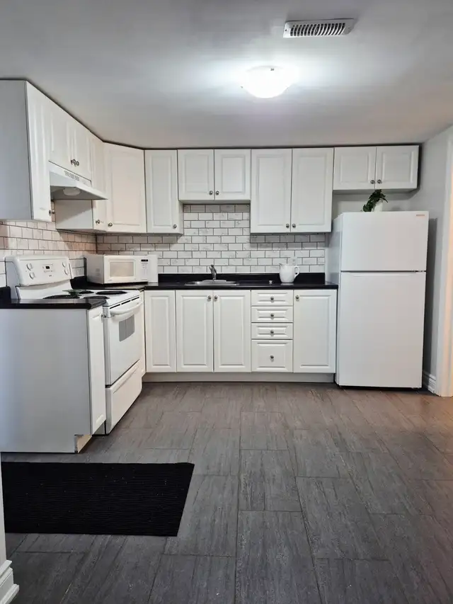 Beautifully renovated apartment