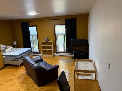 4399 Saint Laurent, Montréal, QC H2W 1Z3, Canada Property Description *** You can take virtual tours...
