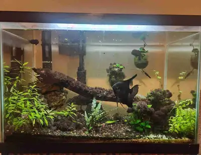 Aquarium , View more