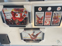Calgary Flames Framed Pictures
