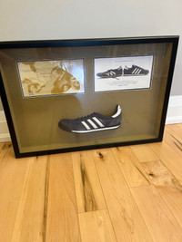 Terry fox replica shadow box display 