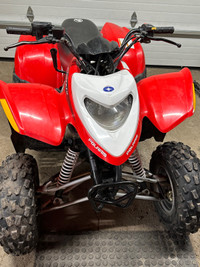 Polaris Phoenix 200