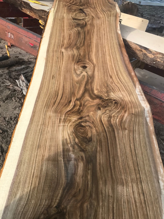 Live edge wood for sale  in Home Décor & Accents in Kingston