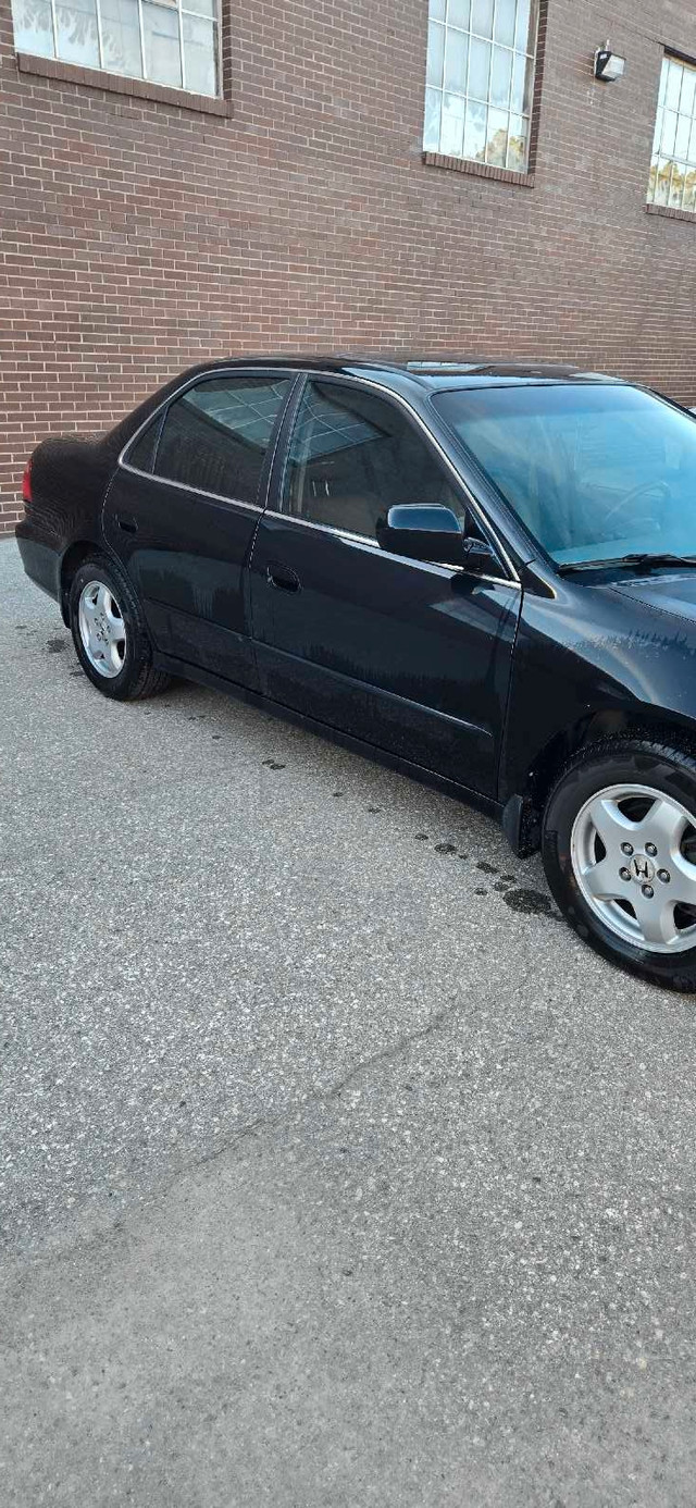 2000 Honda Accord Ex in Cars & Trucks in Mississauga / Peel Region - Image 3