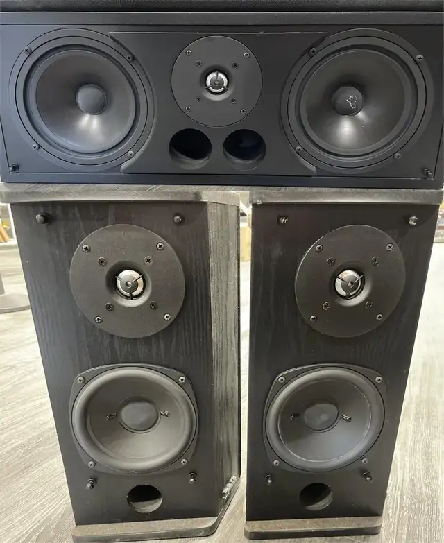 Definitive Technology CLR & BP2X Speaker Set – Audiophile Qualit in Speakers in Delta/Surrey/Langley - Image 3