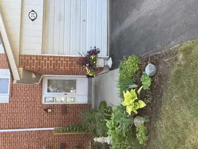 Roomate