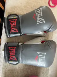 16 oz and 12 oz boxing gloves. 