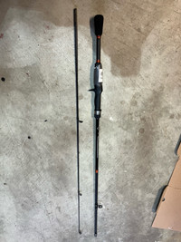 Baitcasting Fishing Rod - $40