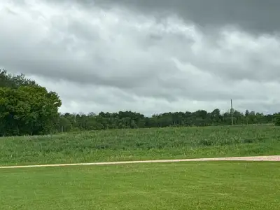 100 Acres of Tame Hay to Cut Rake & Bale This Summer, View more