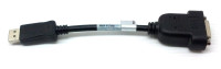 HP BizLink 1351 DisplayPort Male to DVI Cable 481409-001