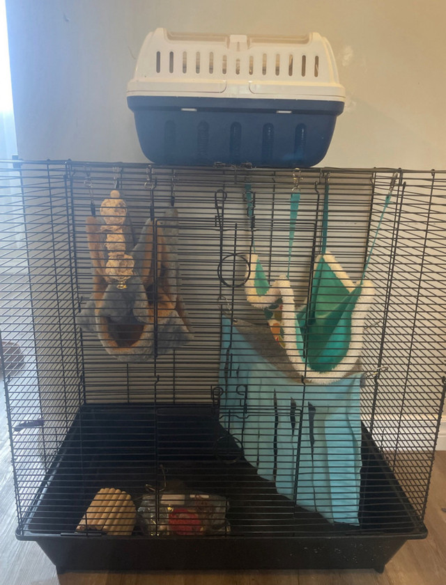 rat cage and accessories  in Accessories in Hamilton