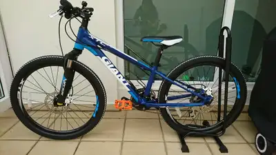 GIANT 24" JR BIKE (Double-Disky), View more
