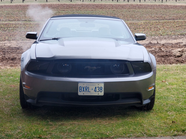 2010 mustang gt in Cars & Trucks in St. Catharines - Image 2