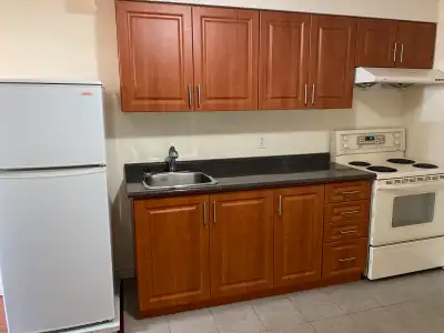 One Bedroom Basement Apartment for Rent  in Mississauga
