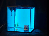 Aquariums with Various Decor (9gal and/or 3gal)