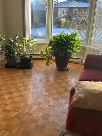 chambre à louer à St Rémi