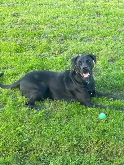 friendship , View more