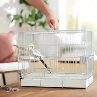 Small/Medium Bird Cage - WANTED for rescue 