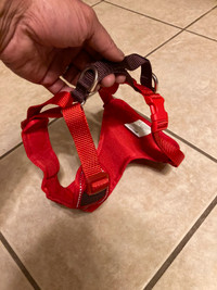 brand new rcpets dog harness