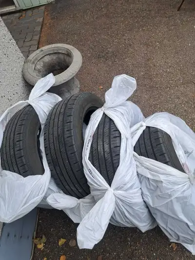 Motormaster 22560R18 all season..call or text 780 937 4159..cash..canadian tire shop said about 85%l...