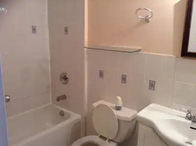 2 Bed 1 bath  Bsmnt Apt at Sheppard-Morningside for rent -June 1