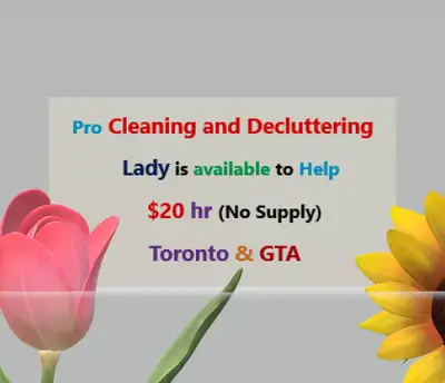 Pro Cleaning/Decluttering Lady here to Help-Toronto/GTA _ $20 hr, View more