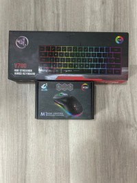 V700 RGB streamer wired keyboard with M1 RGB Gaming mouse.