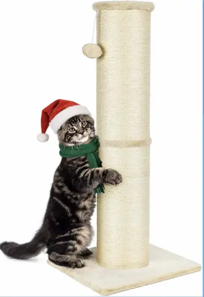 Cat Scratching Post, View more