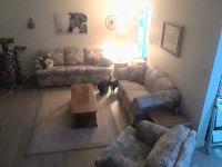 Excellent condition couch, love seat and chair